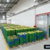 Bảng báo giá thi công kho lạnh trái cây trọn gói cho vựa thu mua nông sản xuất khẩu